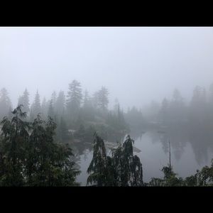 Meet your Posher, Paige